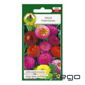 Dālijas pomponu mix 0.5g