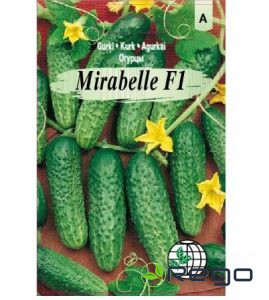 Gurķi Mirabelle F1 AMC 12s