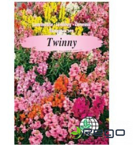 Lauvmutītes Twinny zema 12s AMC