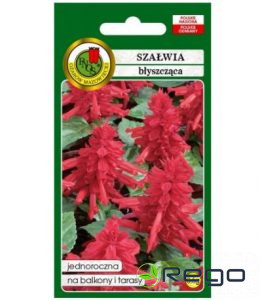Salvija spilgtā sarkanā 0.5g