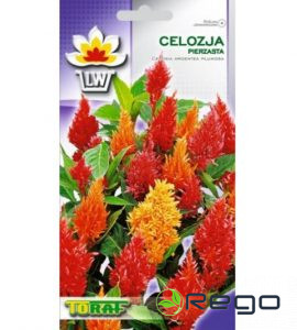 Celozija spalvu 0.5g.