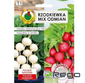 Redīsi Krasa+ Sniezka 6m