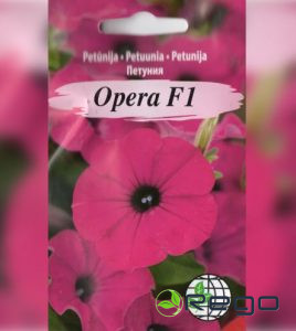 Petūnija nokarenā Opera  purpursarkanas AMC 5gran.