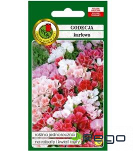 Godēcija lielziedu (zema auguma) Mix 1g