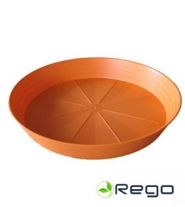 Paliktnis Primavera 28 tereacotta