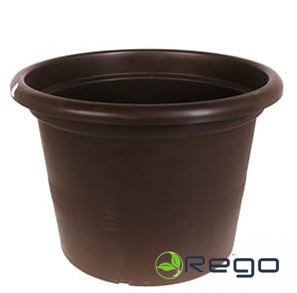 Puķu pods Campanula 28 brūns