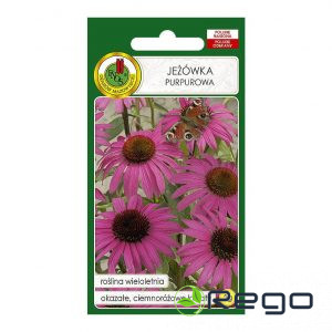 Rudbekija purpursarkanā 1g