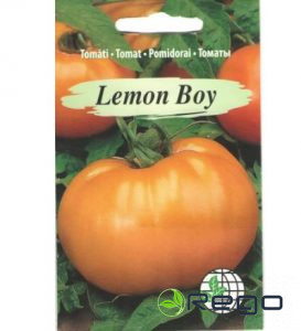 Tomāti Lemon Boy 3 sēklas