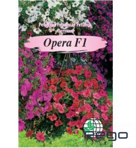 Petūnijas nokarenas Opera rozā AMC 5gran.