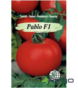 Tomāti Pablo F1 AMC 10s