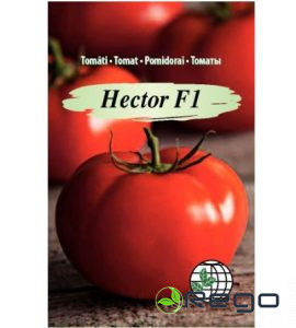 Tomāti Hector F1 AMC 10sēk.