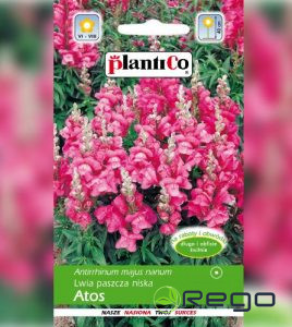 Lauvmutīte zema Atos 0.5g PC.