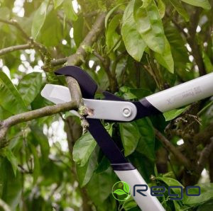 Fiskars Zaru grieznes PowerGear X S L LX92 (1020186)