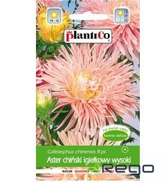 Asteres adatveida Ewa 1g