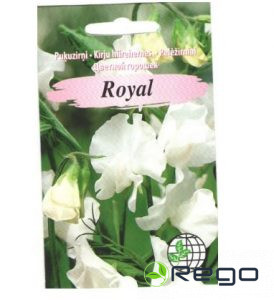 Puķuzirņi  Royal balti AMC 2g