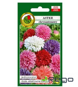 Asteres krizantēmu Mix 0.8g