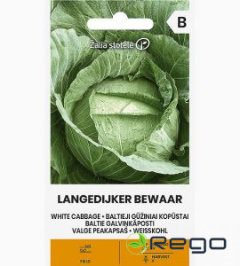 Galviņkāposti baltie Langedijker Dauer 3g