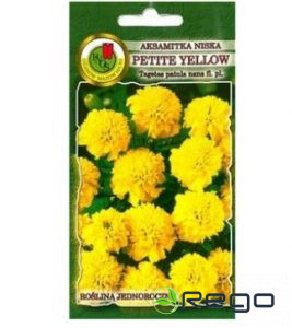 Samtenes zemās Petite Yellow 1g