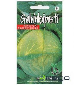 Kāposti galviņu Megaton F1 30s (KS)
