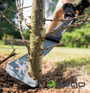 Fiskars WoodXpert zaru cirtnis 126005