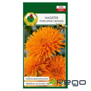 Kliņgerītes PORCUPINE ORANGE 0,5g
