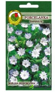 Porcelānpķe Nemofila
