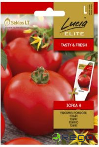 Tomāti ZOFKA H