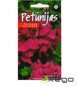 Petūnijas pildītās  Duo F1 burgundy 15s (KS)