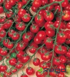 Tomāti Sweet  Million F1 20 sēklas