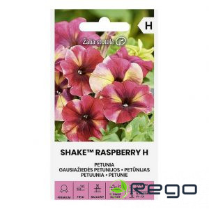 Petūnijas SHAKE™ RASPBERRY H 20s