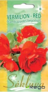 Begonijas sēklas Vermilion Red 30s