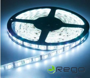 LED Lenta 5m CW IP20 DC12V 60LED/m 4.8w 520Lm/m (auksti baltā)8mm