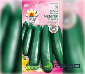 Kabači Nefertiti 3g