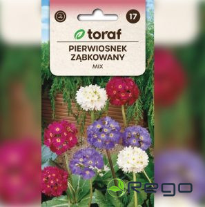 Prīmula zobainā 0.1g