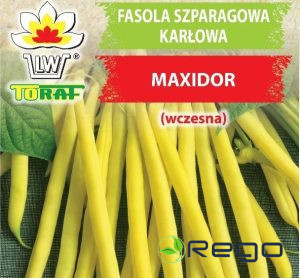 Pupiņas Sparģeļu dzeltenas Maxidor