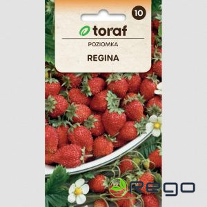 Dārza meža zemenes REGINA 0.1g