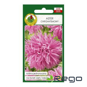 Asteres krizantēmu Rozā 0.8g