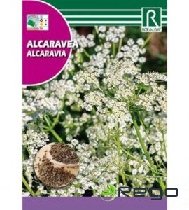 Pļavas -parastā ķimene 6g (NOCENOTS)