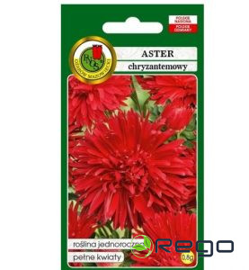 Asteres krizantēmu sarkanas 0.8g