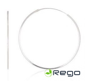 Sudraba auskari 2,00g, 925