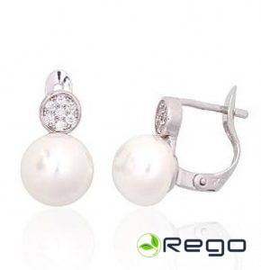 Sudraba auskari 2,50g, 925