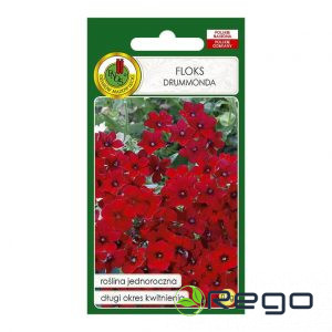 Floksis drumonda sarkans 0.8g