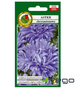 Asteres krizantēmu zilas 0.8g