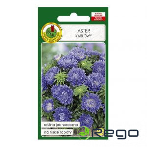 Asteres zemās Turkus zilas 0.8g