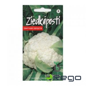 Ziedkāposti Goodman 30s