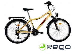 Divritenis DHS 2431 City line