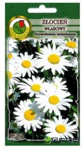 Pīpene parastā Riesenstern 1g