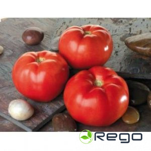 Tomātu sēklas Troy 10s (Lauka)