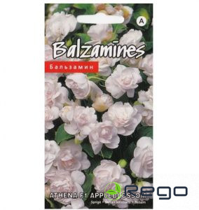 Balzamīnes Athena F1 APPLEBLOSSOM 5s