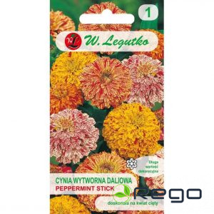 Cinnijas dāliju Peppermint Stick 1g